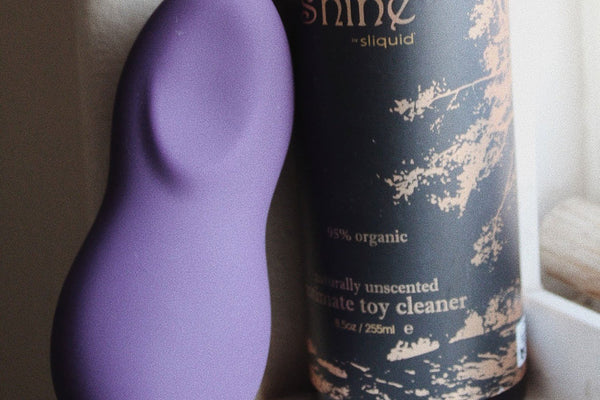 We-Vibe Touch Review