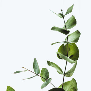 Erectile Dysfunction man holding pillow in underwear