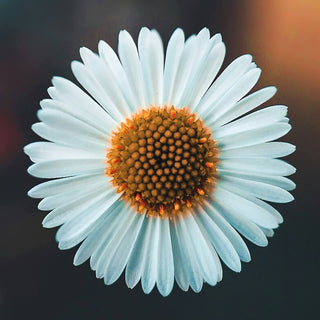 Low Libido holding hands relationship