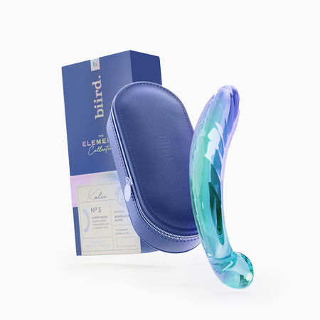 Biird Polii Stainless Steel Dildo