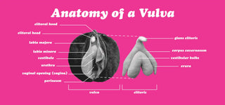 Ruby Plush - MedAmour