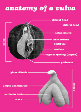 Ruby Plush - MedAmour